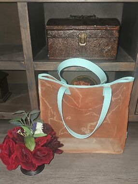 Clinique Orange Tote Bag with Mint Handles